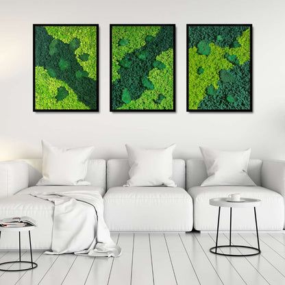 Rivers & Islands Moss Art