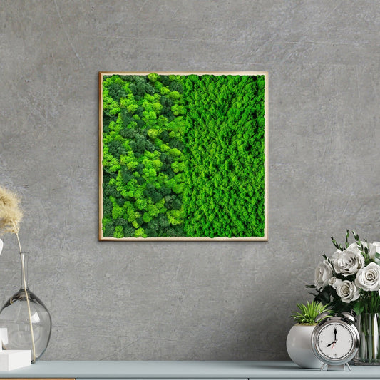 Half Moss Art Square Frame