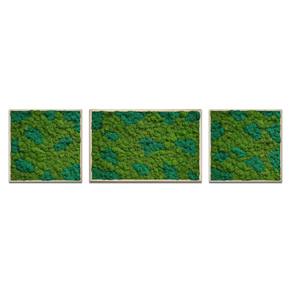 Moss Art Trio Multi Panel