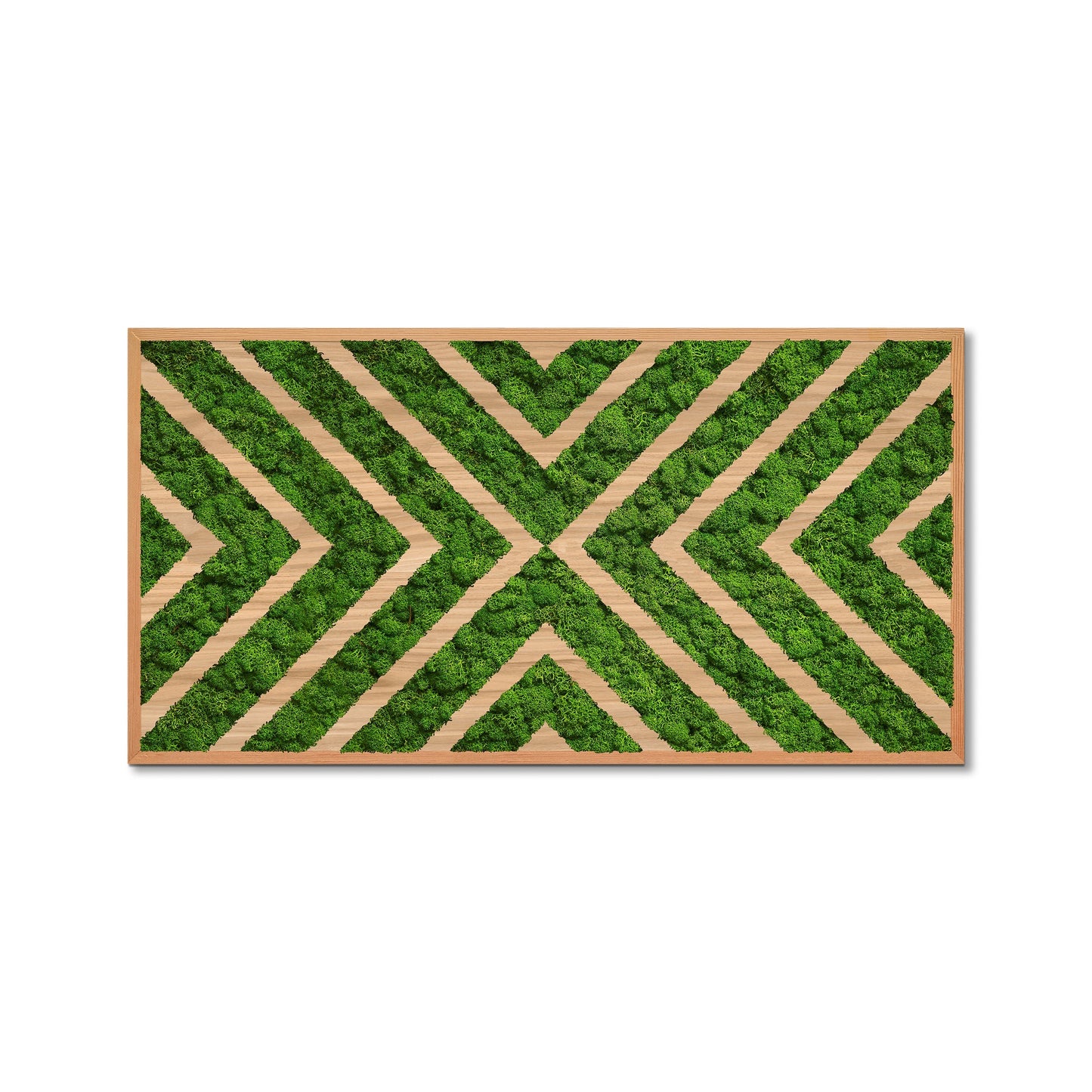 Moss Art X Design Wood Frame