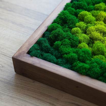 Moss Art X Design Wood Frame