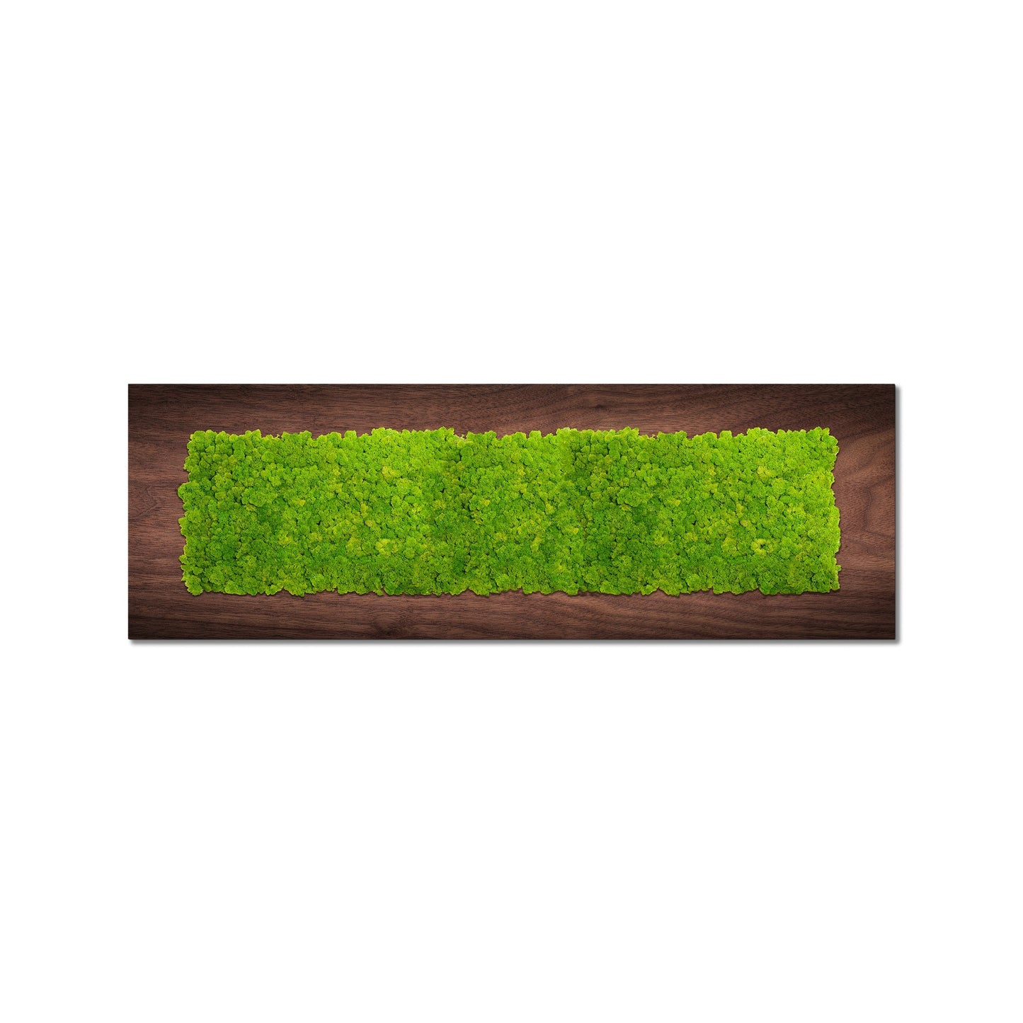 Wooden Panel Moss Art