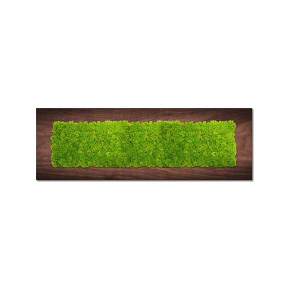 Wooden Panel Moss Art