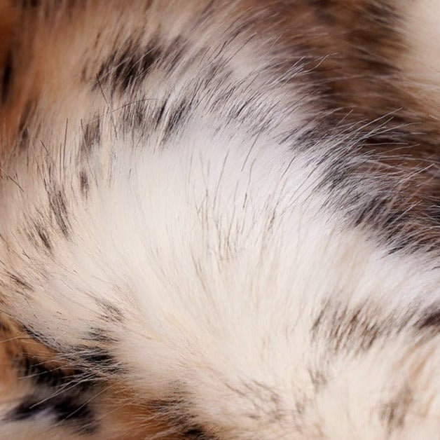 Plush Leopard Faux-Fur Blanket Throw